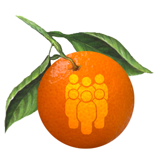 Orange Snowman Website Design Florida 5