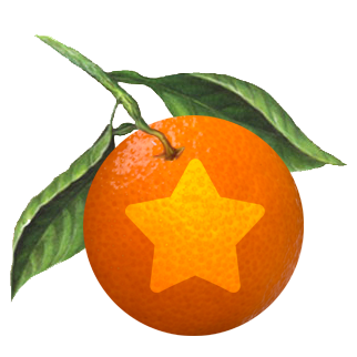 Orange Snowman Website Design Florida 4
